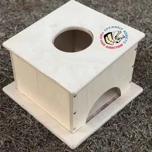 Cornhole Addicts Pro Airmail box